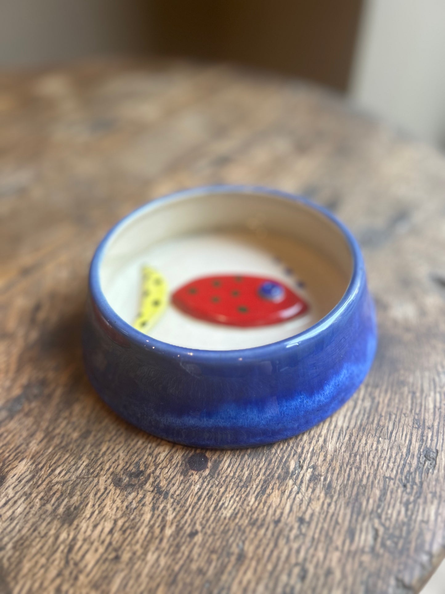 Cat Bowl