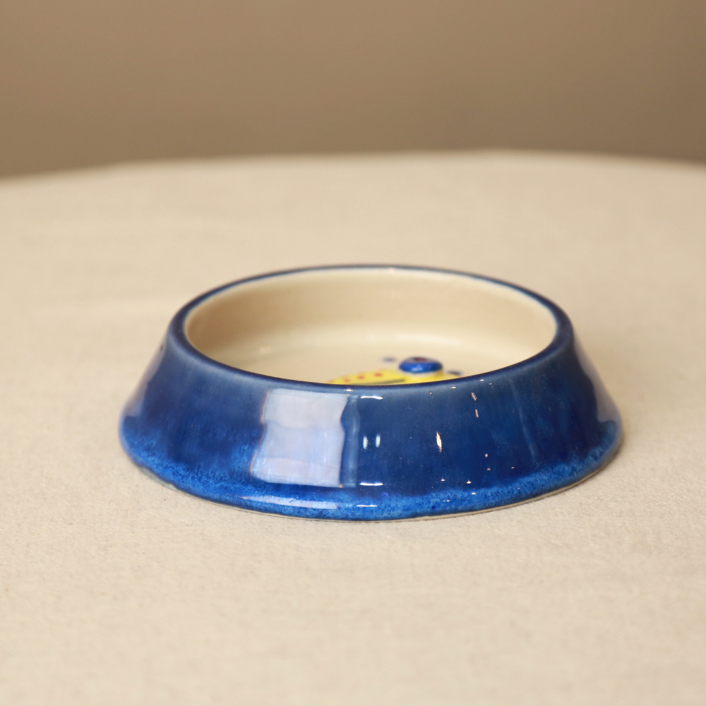 Shallow Cat Bowl